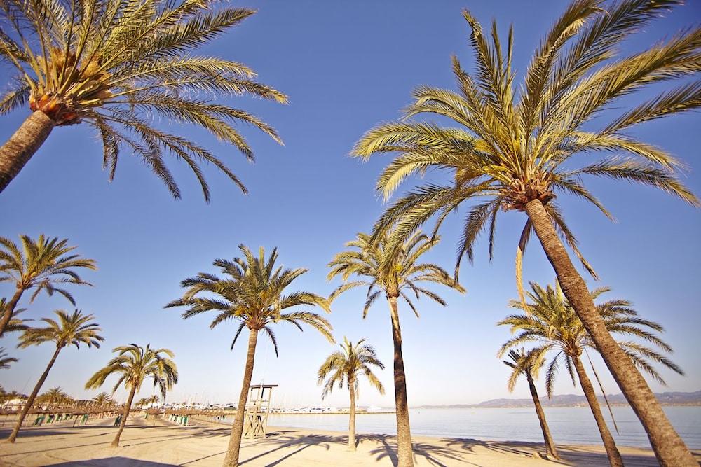 Sahara Nubia Gobi Hotel Ses Cadenes Exterior photo Palma de Mallorca